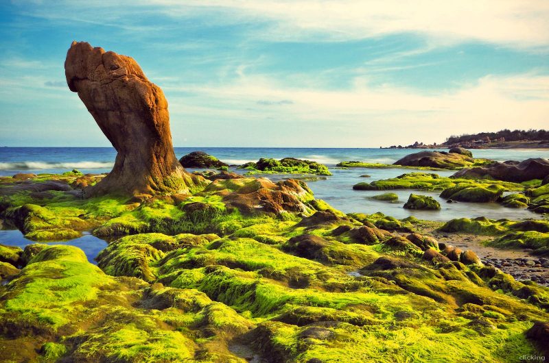 TOUR HÀ NỘI- MŨI NÉ - BÌNH THUẬN 4 NGÀY 3 ĐÊM  ĐẾN VỚI NHỮNG BÃI BIỂN XANH NGẮT VÀ ĐỒI CÁT BÀU TRẮNG MÊNH MÔNG
