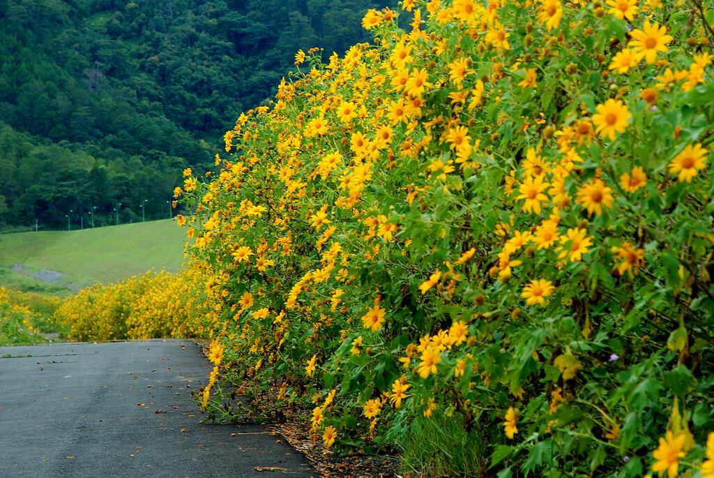 TOUR DU LỊCH HÀ NỘI - TÂY NGUYÊN -  ĐÀ LẠT – BUÔN MÊ THUẬT- VỀ BAN MÊ ĐẠI NGÀN MÊ SAY CÙNG KHÚC HÁT CAO NGUYÊN LỘNG GIÓ